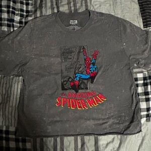 Marvel Spider-Man Graphic Gray T-Shirt